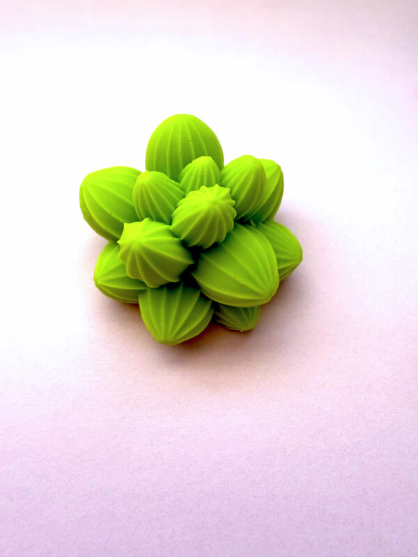 Fondant cactus