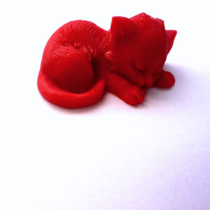 Fondant chat