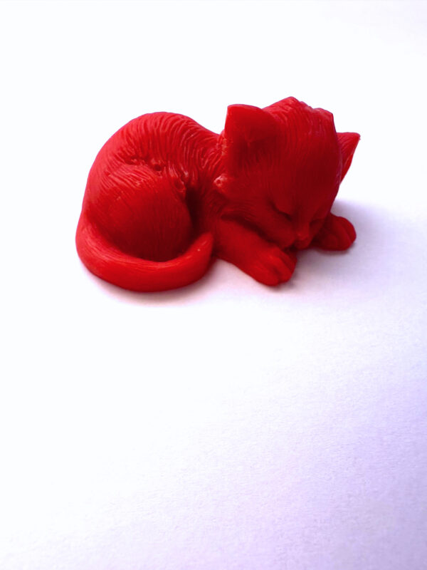 Fondant chat