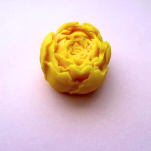 Fondant pivoine
